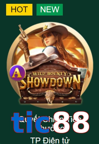 tic88