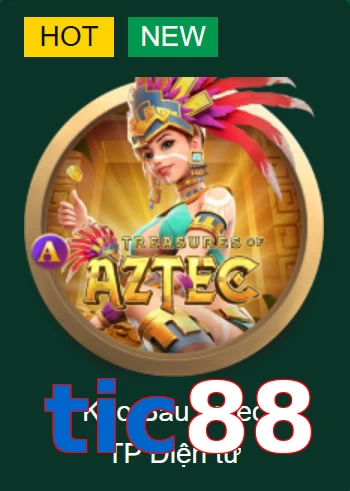 tic88